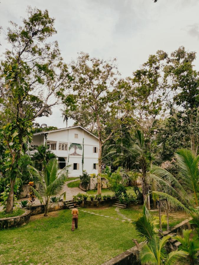 Kirinuga Boutique Retreat Otel Tangalle Dış mekan fotoğraf