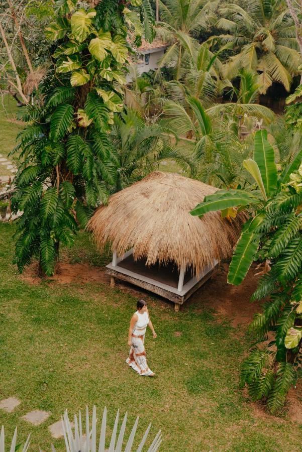 Kirinuga Boutique Retreat Otel Tangalle Dış mekan fotoğraf